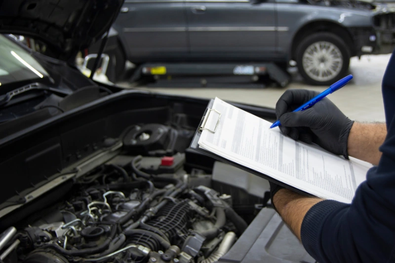 Comfortable area (500 x 650 px)